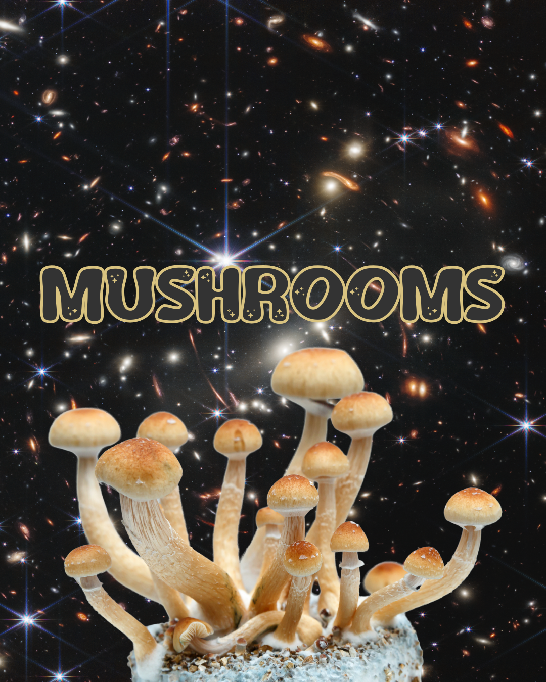 Mushrooms